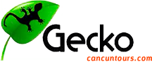 Gecko Cancun Tours